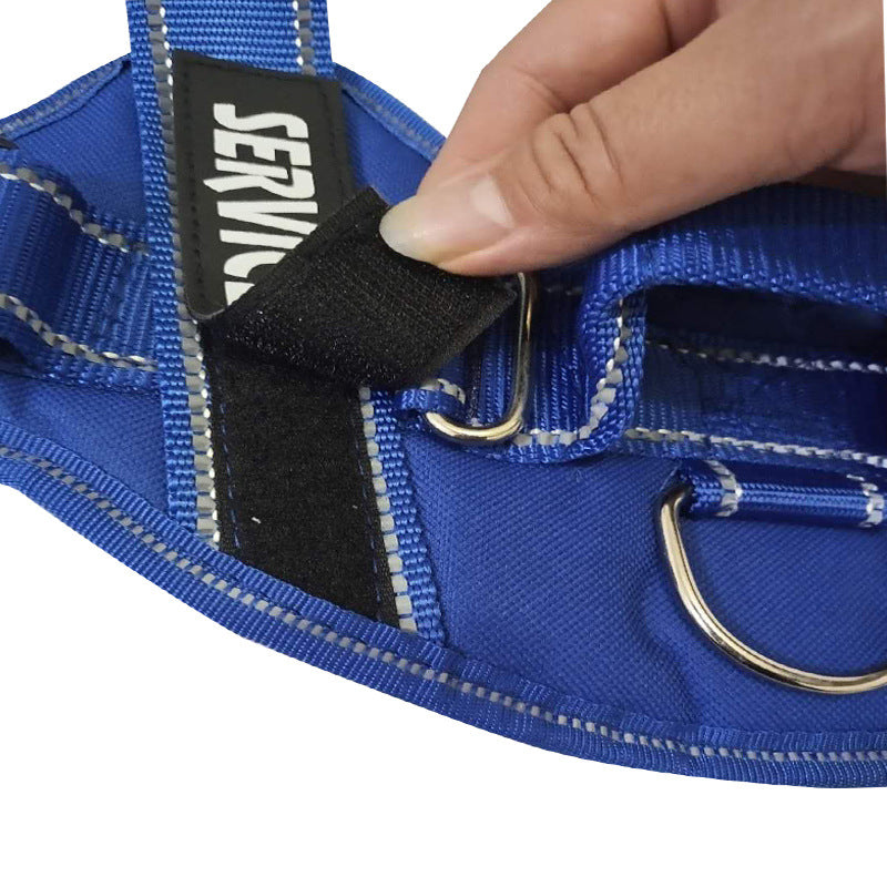 Pet Harness